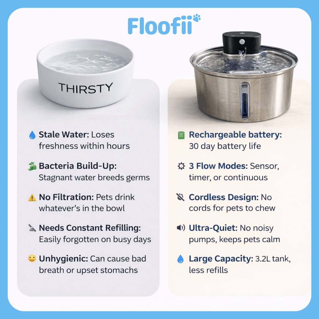 Floofii™ Multi-Pet Bundle