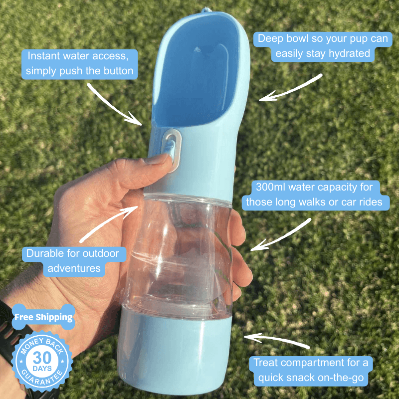 Floofii™ Sip 'N Go Water Bottle