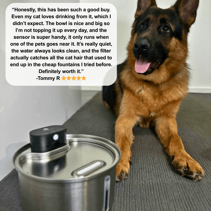 Floofii™ Filtered Water Fountain + 6 Filters Free