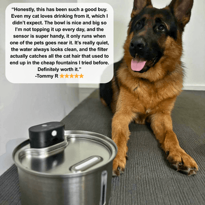 Floofii™ Filtered Water Fountain + 6 Filters Free