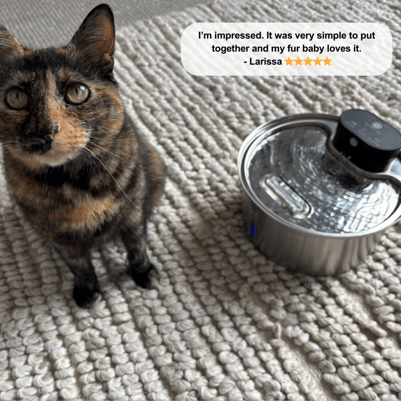 Floofii™ Filtered Water Fountain + 6 Filters Free