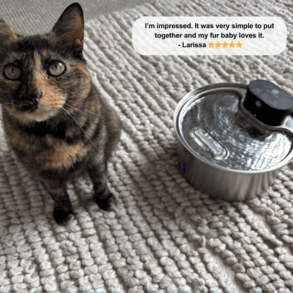 Floofii™ Filtered Water Fountain + 6 Filters Free