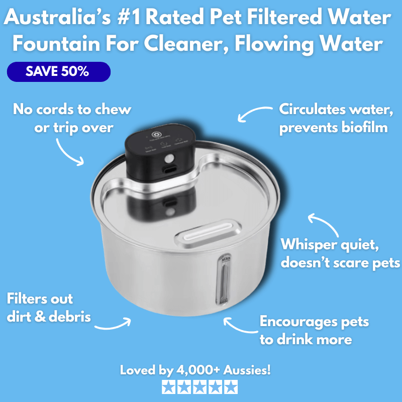 Floofii™ Filtered Water Fountain + 6 Filters Free