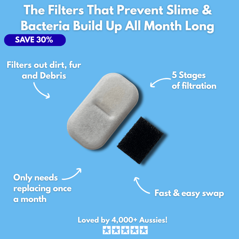 Floofii™ Filter Replacement Kit