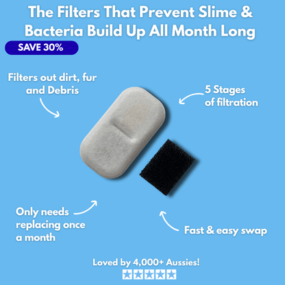 Floofii™ Filter Replacement Kit