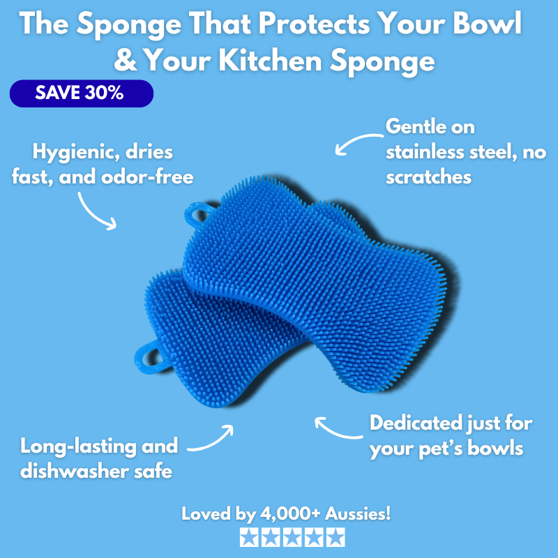 Floofii™ Fountain Sponge 2Pk