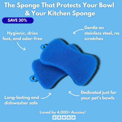 Floofii™ Fountain Sponge 2Pk