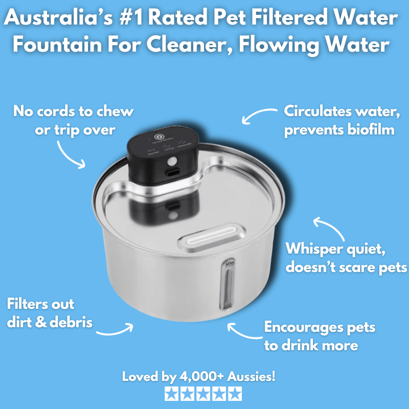 Floofii™ Set & Forget Bundle