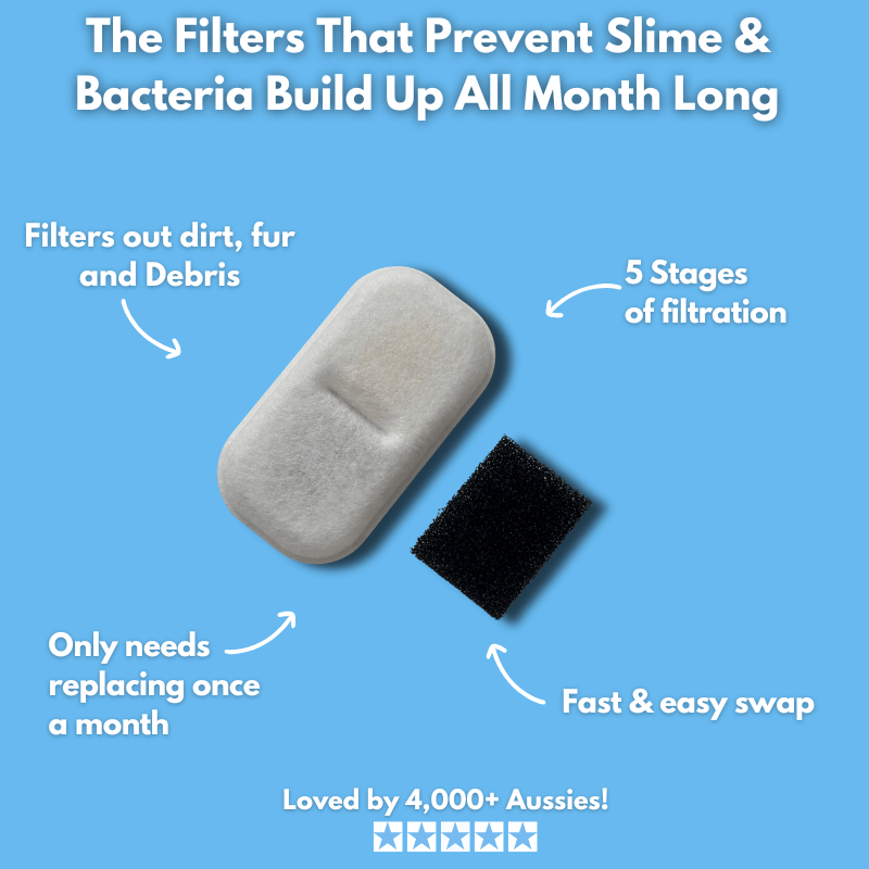 Floofii™ Set & Forget Bundle