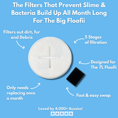 Floofii™ The BIG Bundle
