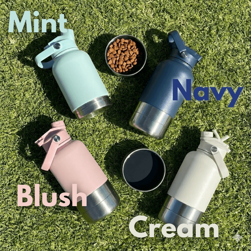 Floofii™ Birthday Bundle