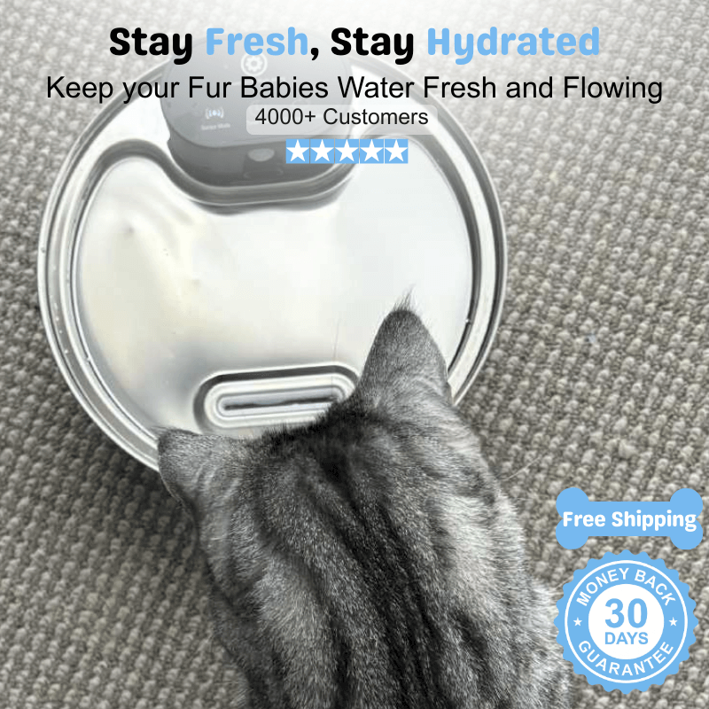 Floofii™ Set & Forget Bundle