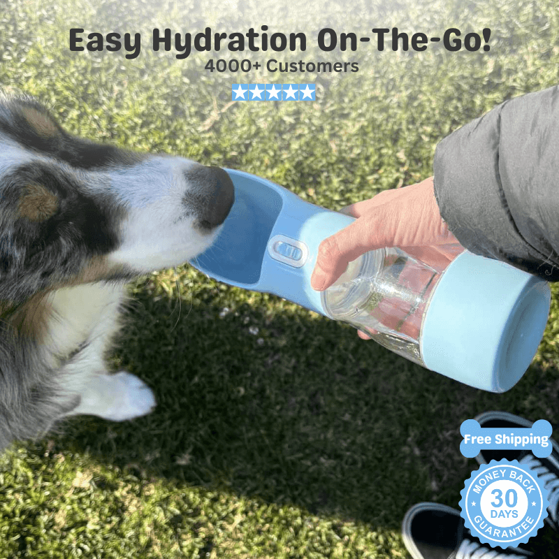 Floofii™ Sip 'N Go Water Bottle