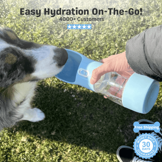 Floofii™ Sip 'N Go Water Bottle
