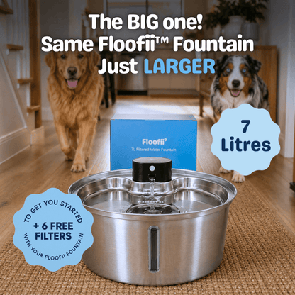 The Big Floofii™  + 6 Filters Free