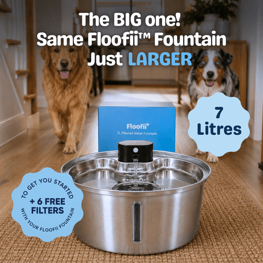 The Big Floofii™  + 6 Filters Free