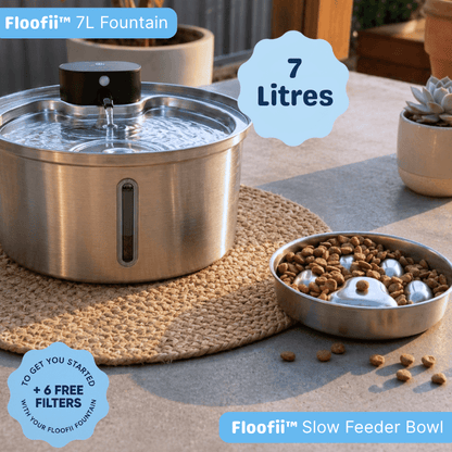 The Slow Feeder Bundle