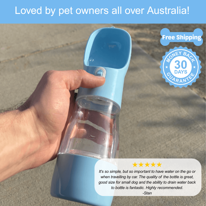 Floofii™ Sip 'N Go Water Bottle