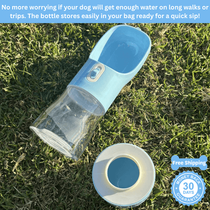 Floofii™ Sip 'N Go Water Bottle