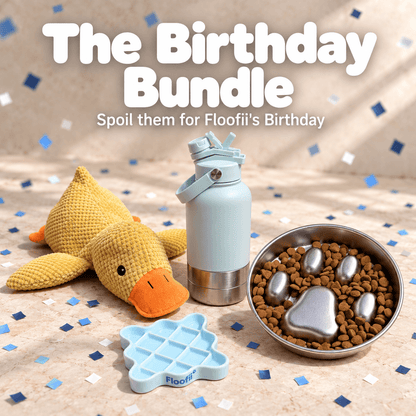 Floofii™ Birthday Bundle