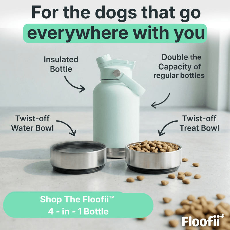 Floofii™ Birthday Bundle