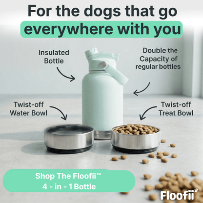 Floofii™ Birthday Bundle