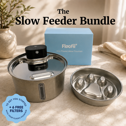 The Slow Feeder Bundle