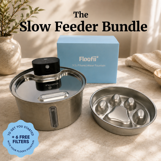 Floofii™ Slow Feeder Bundle