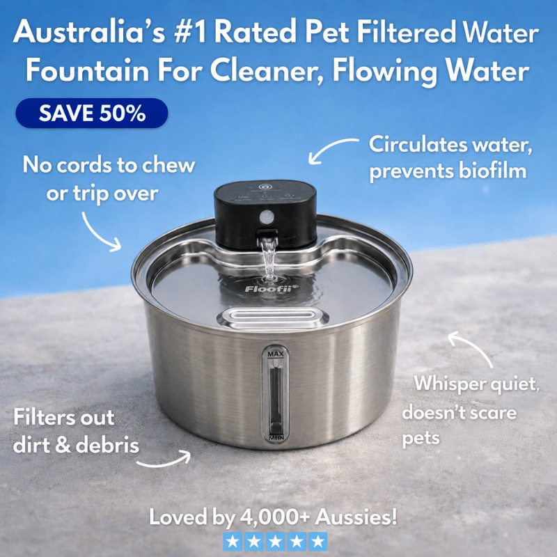Floofii™ Filtered Water Fountain + 6 Filters Free