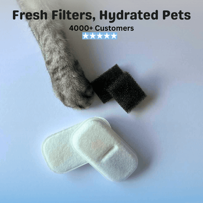 Floofii™ Filter Replacement Kit