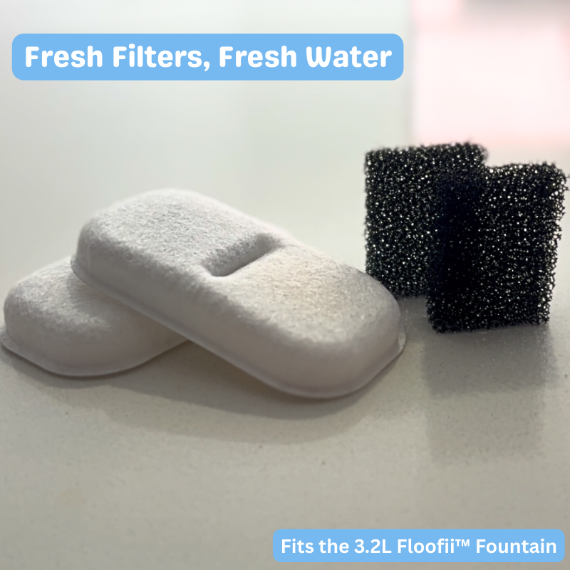 Floofii™ Filter Replacement Kit