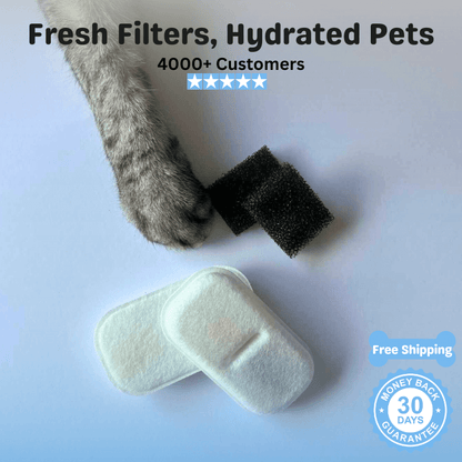 Floofii™ Filter Replacement Kit