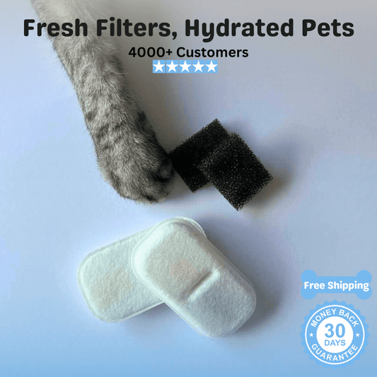 Floofii™ Filter Replacement Kit