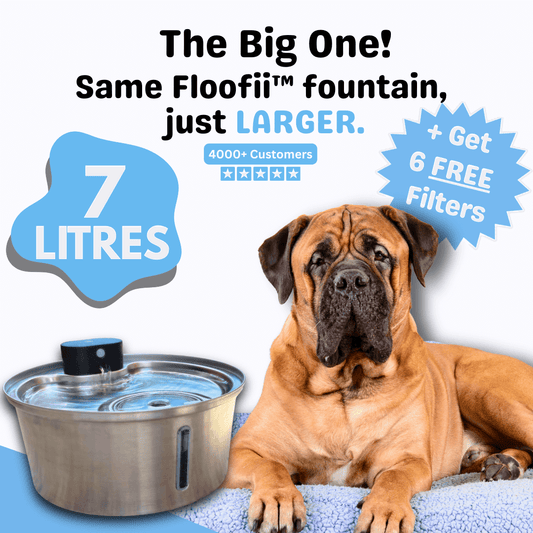 The Big Floofii™  + 6 Filters Free