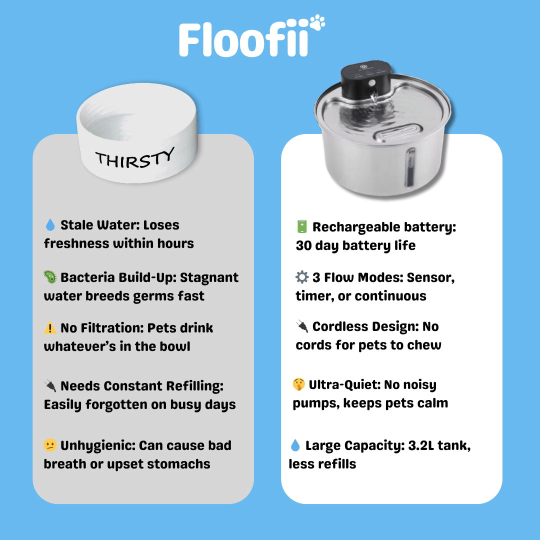 Floofii™ Filtered Water Fountain + 6 Filters Free