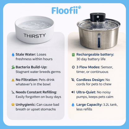 Floofii™ Filtered Water Fountain + 6 Filters Free