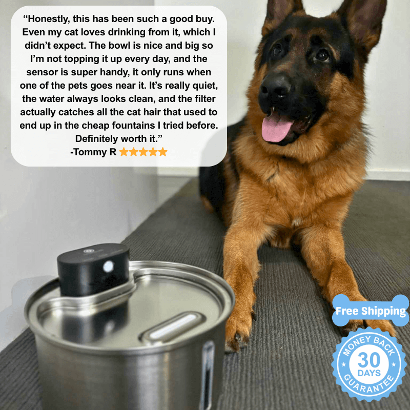 Floofii™ Filtered Water Fountain + 6 Filters Free