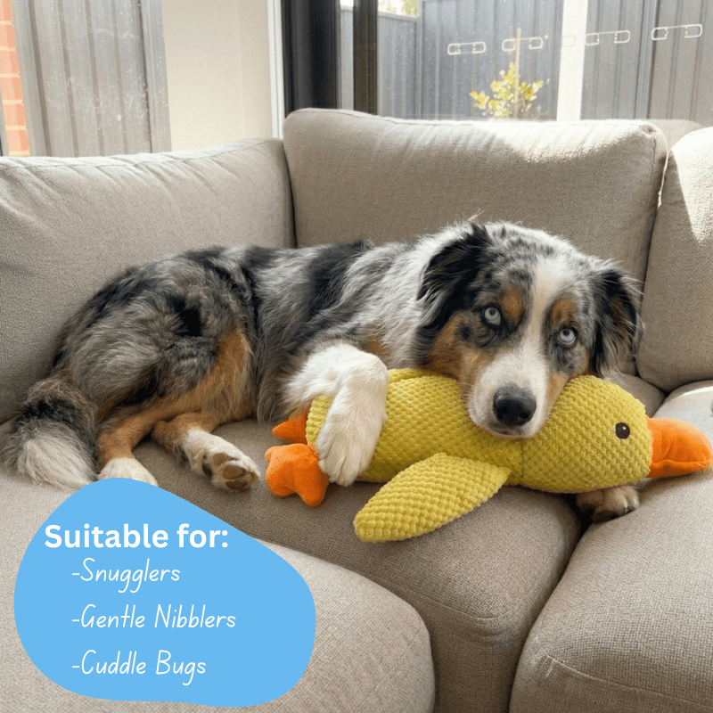 Floofii™ Cuddle Duck