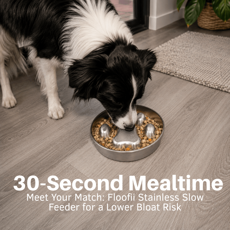 Floofii™ Stainless Steel Slow Feeder