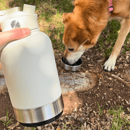 The Floofii™ 4-In-1 Bottle