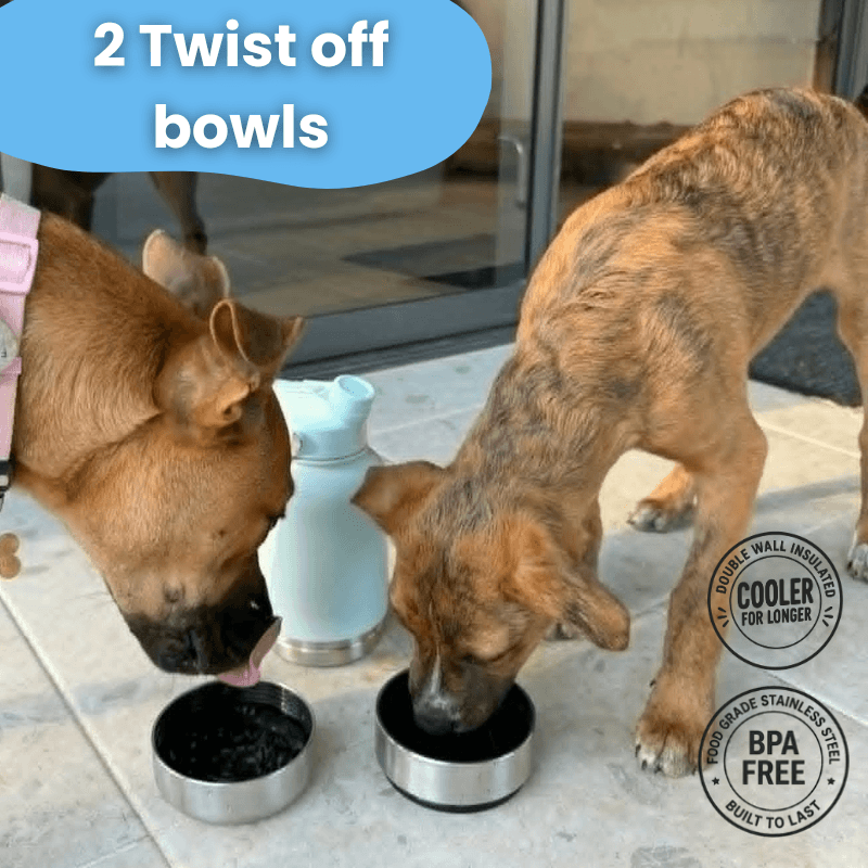 The Floofii™ 4-In-1 Bottle