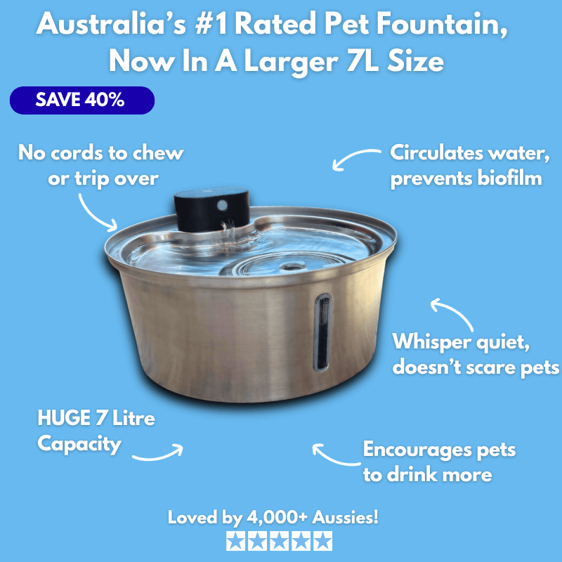 The Big Floofii™  + 6 Filters Free