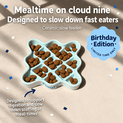 Floofii™ Cloud Nine Slow Feeder
