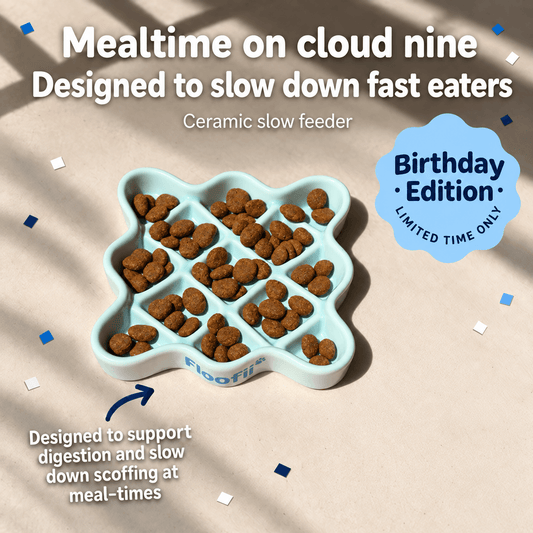 Floofii™ Cloud Nine Slow Feeder