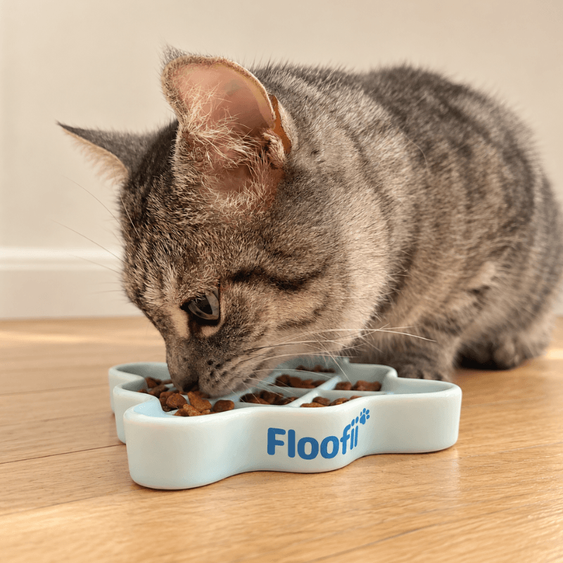 Floofii™ Cloud Nine Slow Feeder