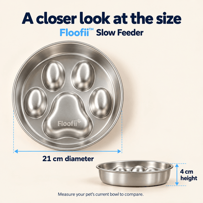 Floofii™ Slow Feeder Bundle