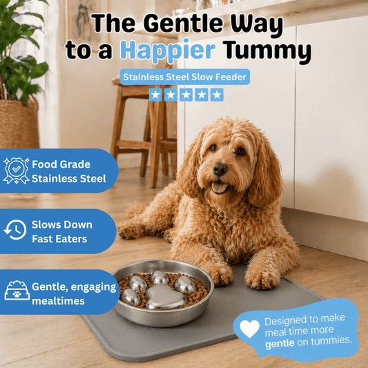 Floofii™ Stainless Steel Slow Feeder