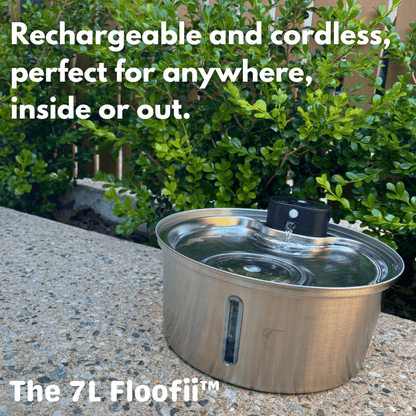 The Big Floofii™  + 6 Filters Free