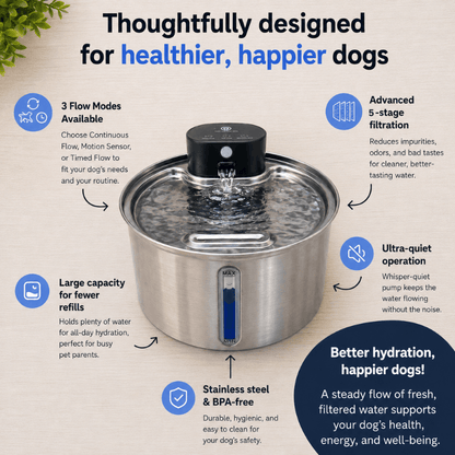 Floofii™ Filtered Water Fountain + 6 Filters Free