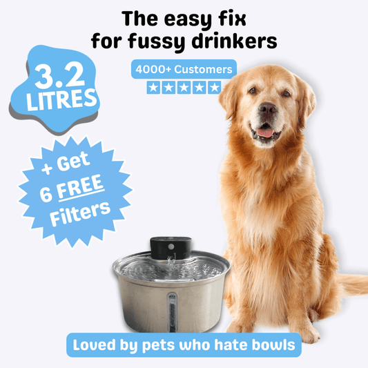 Floofii™ Filtered Water Fountain + 6 Filters Free